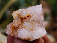 Natural Mixed Spirit Quartz Clusters x 35 From Boekenhouthoek, South Africa - Toprock Gemstones and Minerals 