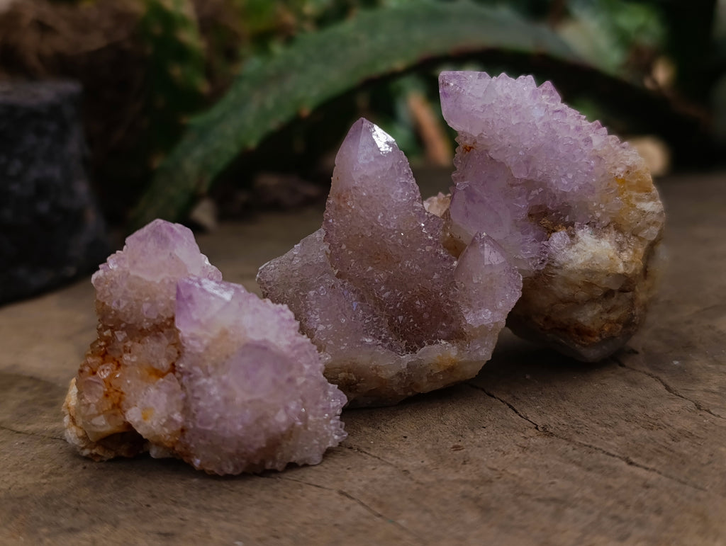 Natural Mixed Spirit Quartz Clusters x 35 From Boekenhouthoek, South Africa - Toprock Gemstones and Minerals 