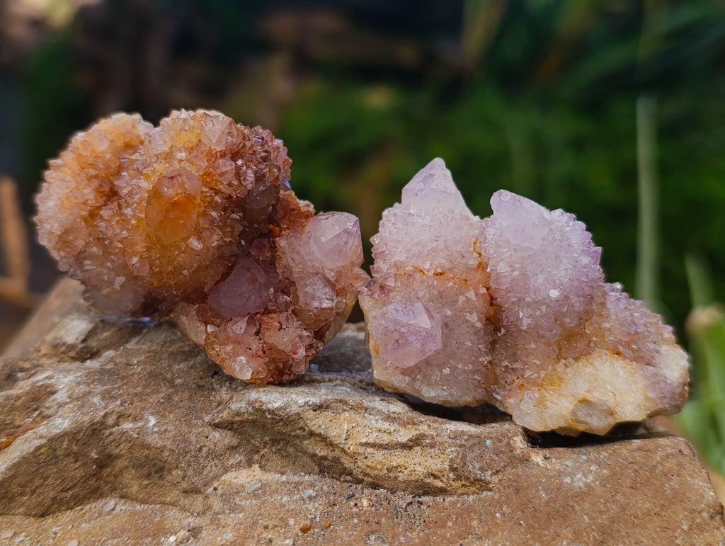Natural Mixed Spirit Quartz Clusters x 35 From Boekenhouthoek, South Africa - Toprock Gemstones and Minerals 