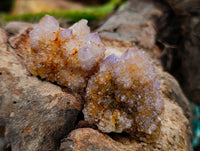 Natural Mixed Spirit Quartz Clusters x 35 From Boekenhouthoek, South Africa - Toprock Gemstones and Minerals 