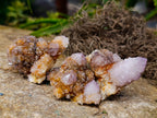 Natural Mixed Spirit Quartz Clusters x 35 From Boekenhouthoek, South Africa - Toprock Gemstones and Minerals 