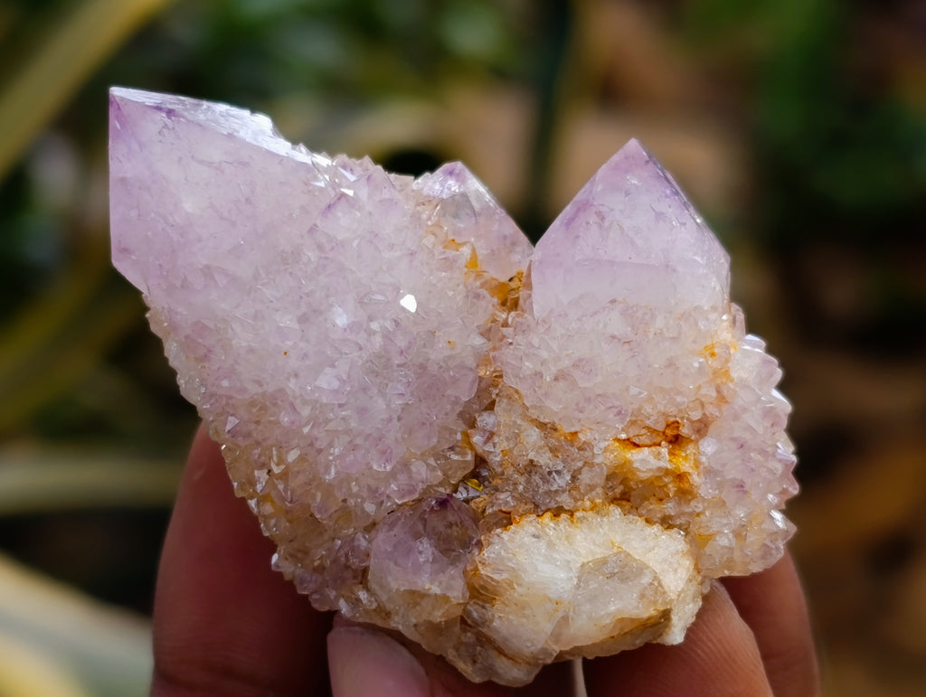Natural Mixed Spirit Quartz Clusters x 35 From Boekenhouthoek, South Africa - Toprock Gemstones and Minerals 