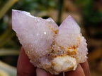 Natural Mixed Spirit Quartz Clusters x 35 From Boekenhouthoek, South Africa - Toprock Gemstones and Minerals 