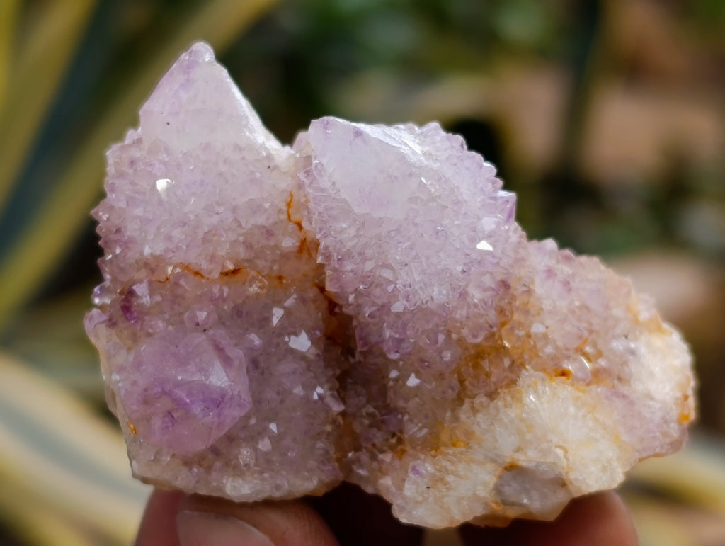 Natural Mixed Spirit Quartz Clusters x 35 From Boekenhouthoek, South Africa - Toprock Gemstones and Minerals 