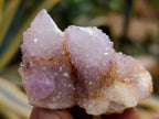 Natural Mixed Spirit Quartz Clusters x 35 From Boekenhouthoek, South Africa - Toprock Gemstones and Minerals 