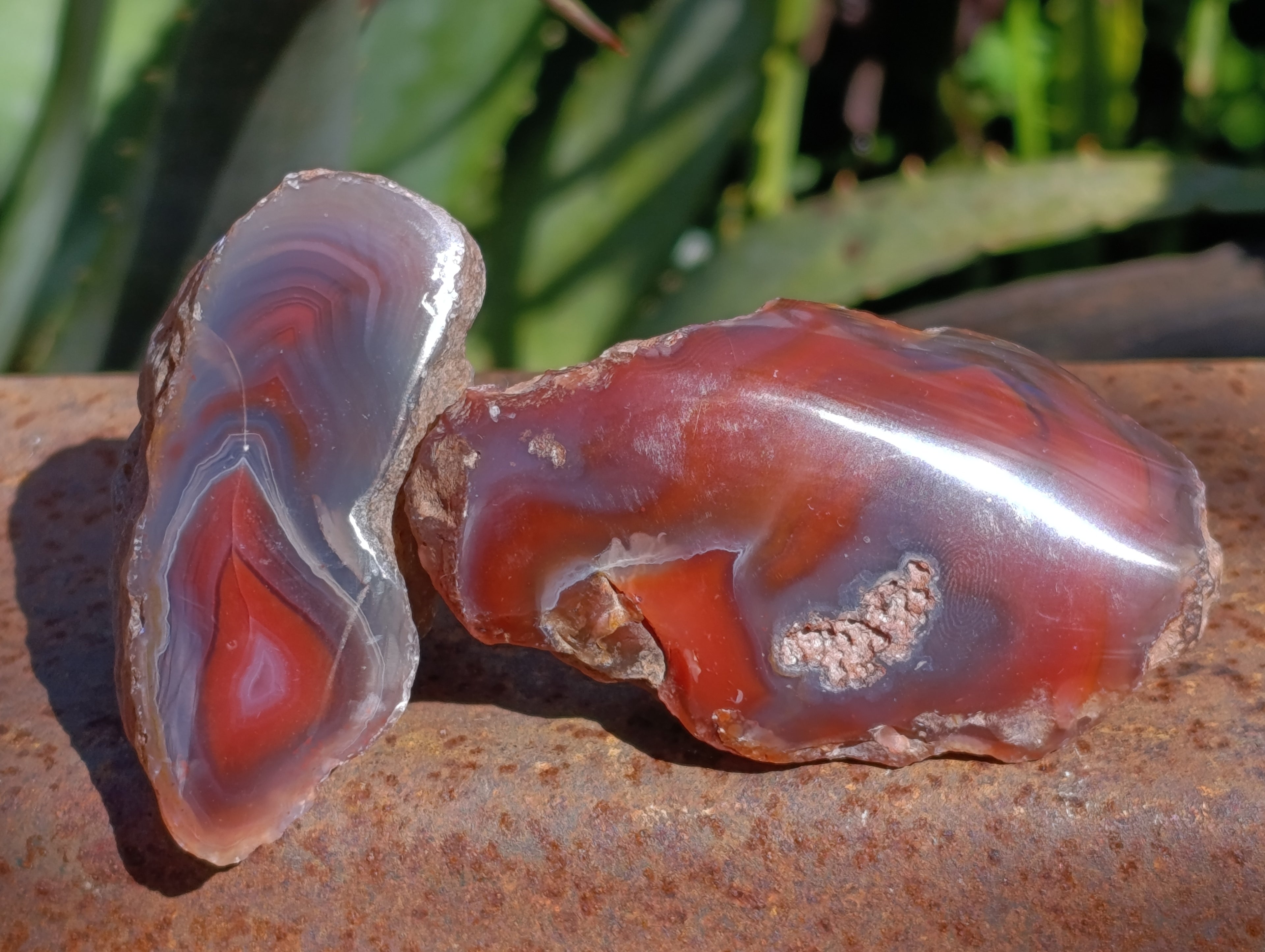 Polished On One Side Red Sashe River Agate Nodules x 12 From Zimbabwe - Toprock Gemstones and Minerals 