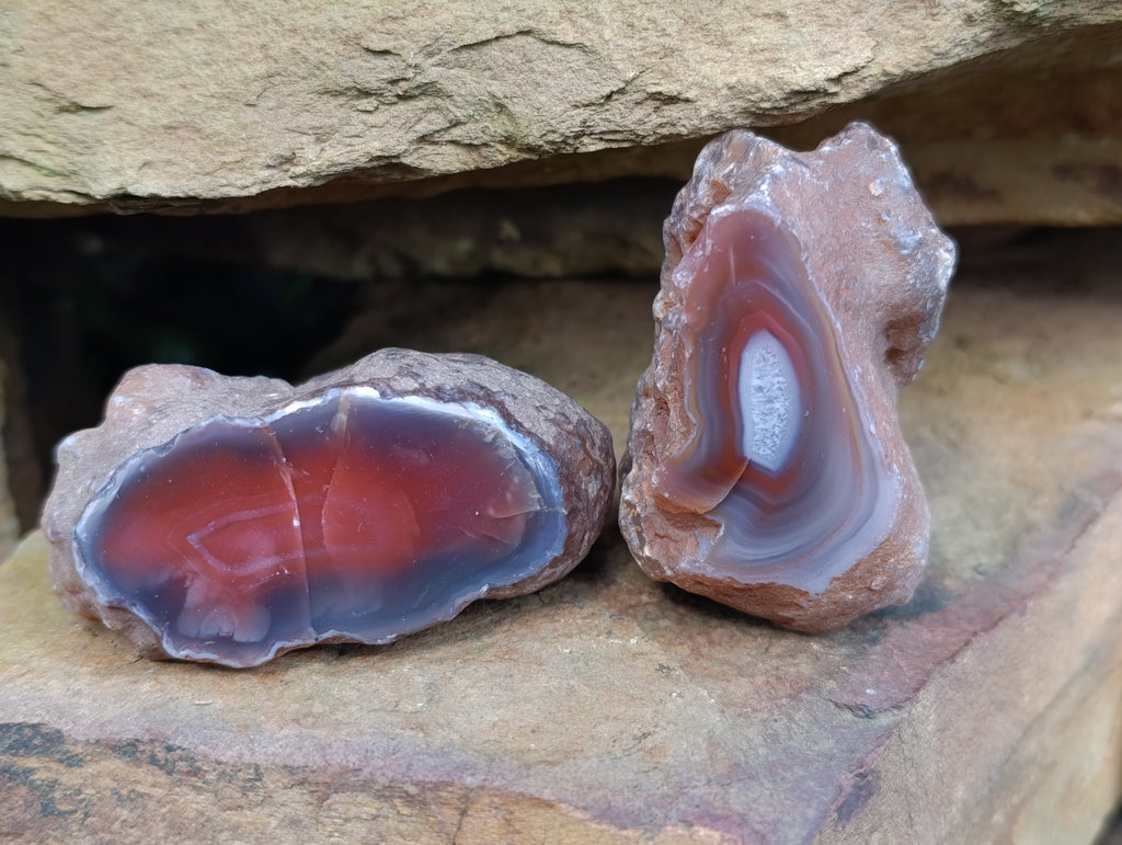 Polished On One Side Red Sashe River Agate Nodules x 12 From Zimbabwe - Toprock Gemstones and Minerals 