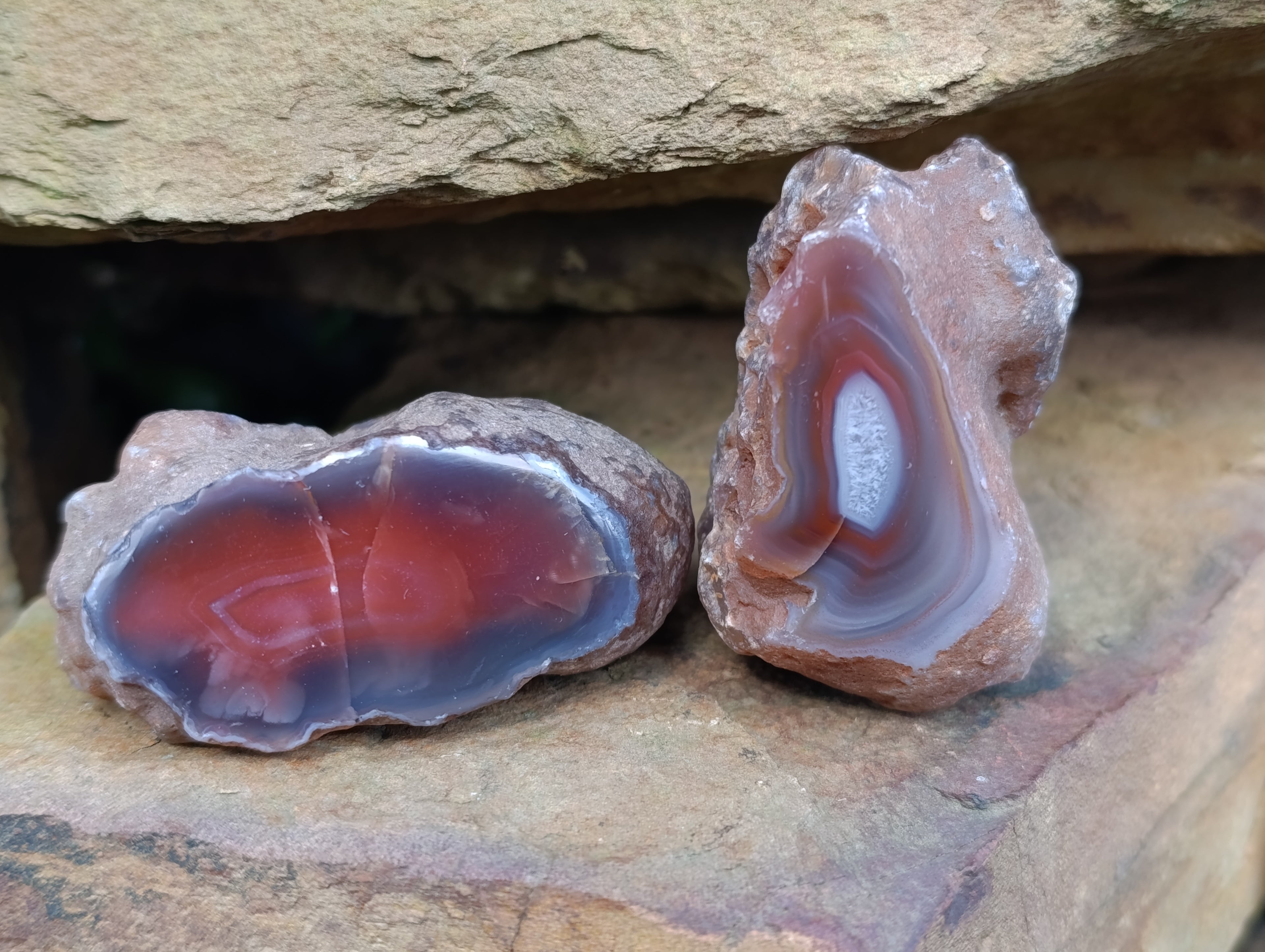 Polished On One Side Red Sashe River Agate Nodules x 12 From Zimbabwe - Toprock Gemstones and Minerals 
