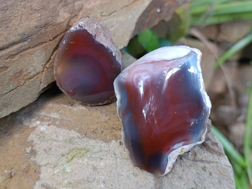 Polished On One Side Red Sashe River Agate Nodules x 12 From Zimbabwe - Toprock Gemstones and Minerals 
