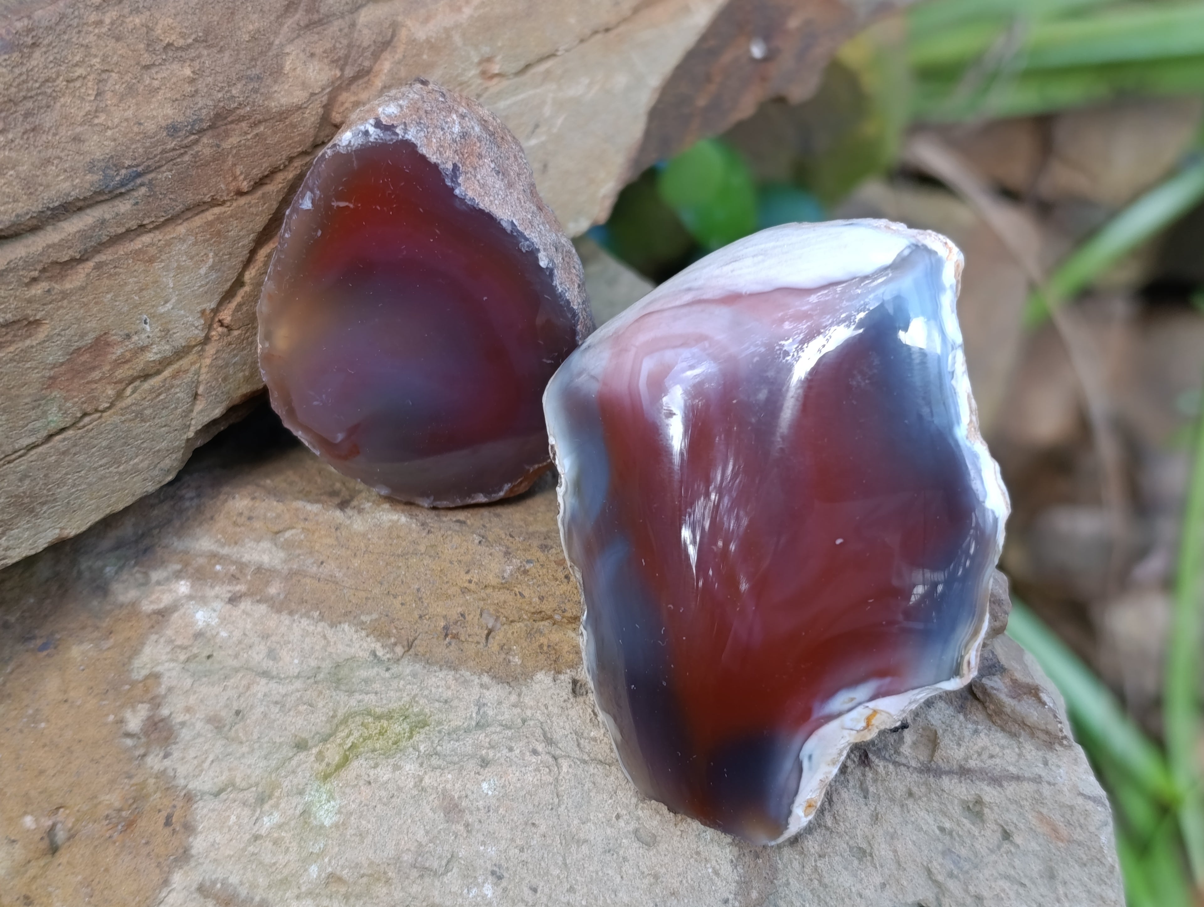 Polished On One Side Red Sashe River Agate Nodules x 12 From Zimbabwe - Toprock Gemstones and Minerals 