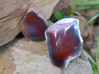 Polished On One Side Red Sashe River Agate Nodules x 12 From Zimbabwe