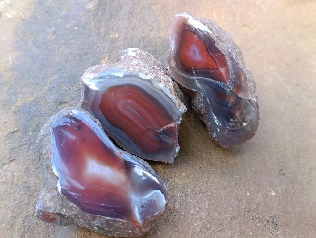 Polished On One Side Red Sashe River Agate Nodules x 12 From Zimbabwe - Toprock Gemstones and Minerals 