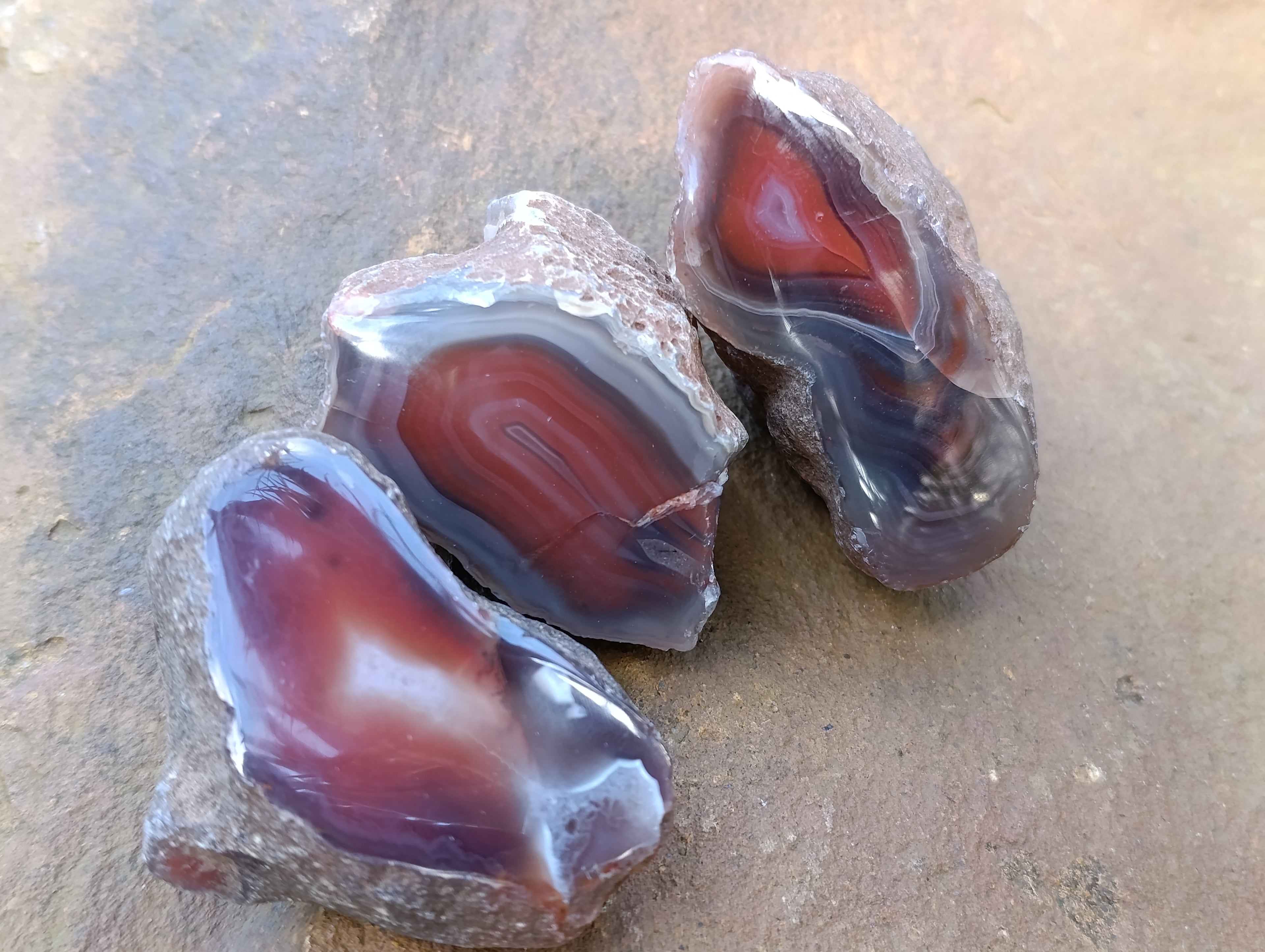 Polished On One Side Red Sashe River Agate Nodules x 12 From Zimbabwe - Toprock Gemstones and Minerals 