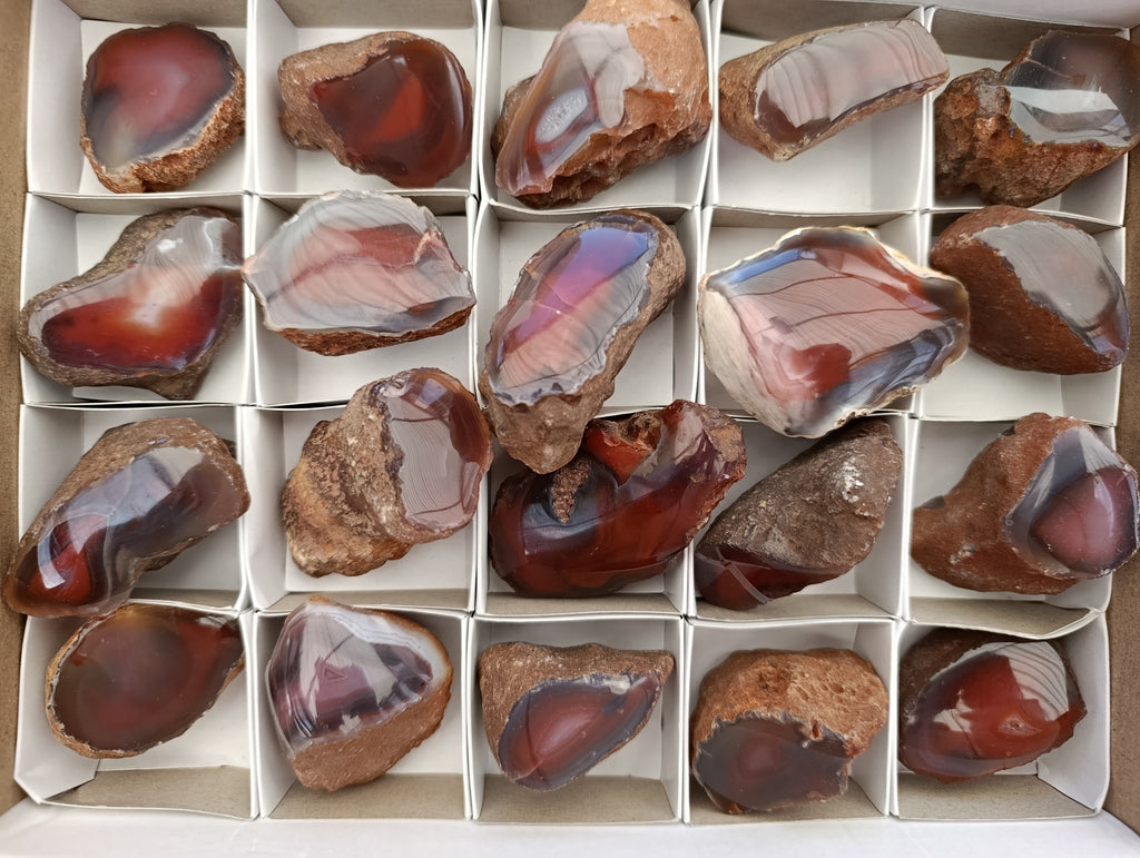 Polished On One Side Red Sashe River Agate Nodules x 12 From Zimbabwe - Toprock Gemstones and Minerals 