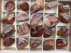 Polished On One Side Red Sashe River Agate Nodules x 12 From Zimbabwe - Toprock Gemstones and Minerals 