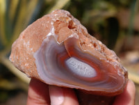 Polished On One Side Red Sashe River Agate Nodules x 12 From Zimbabwe