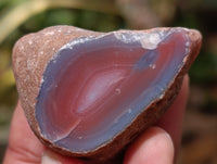 Polished On One Side Red Sashe River Agate Nodules x 12 From Zimbabwe