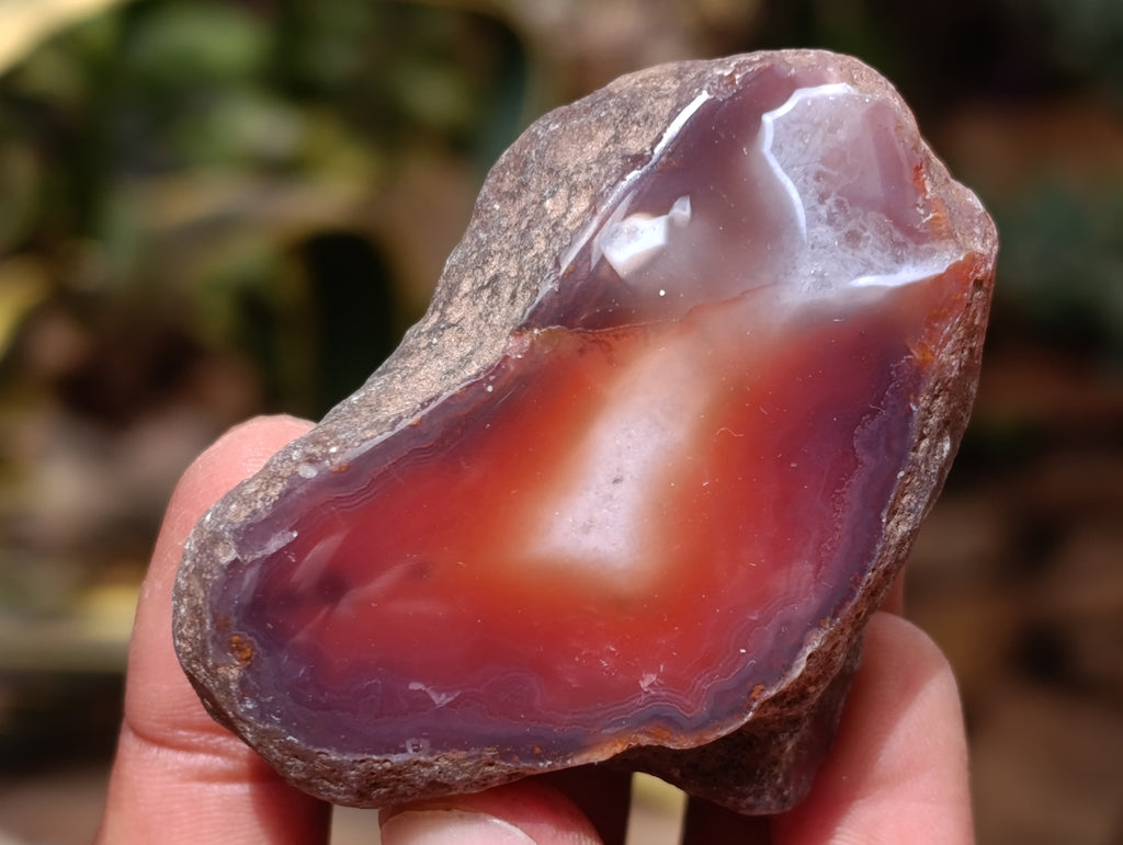 Polished On One Side Red Sashe River Agate Nodules x 12 From Zimbabwe - Toprock Gemstones and Minerals 