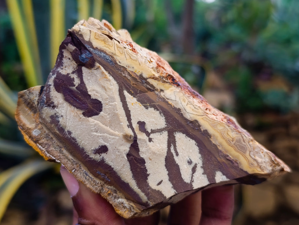 Natural Nguni Jasper Cobbed Specimens x 14 From Prieska, South Africa - Toprock Gemstones and Minerals 