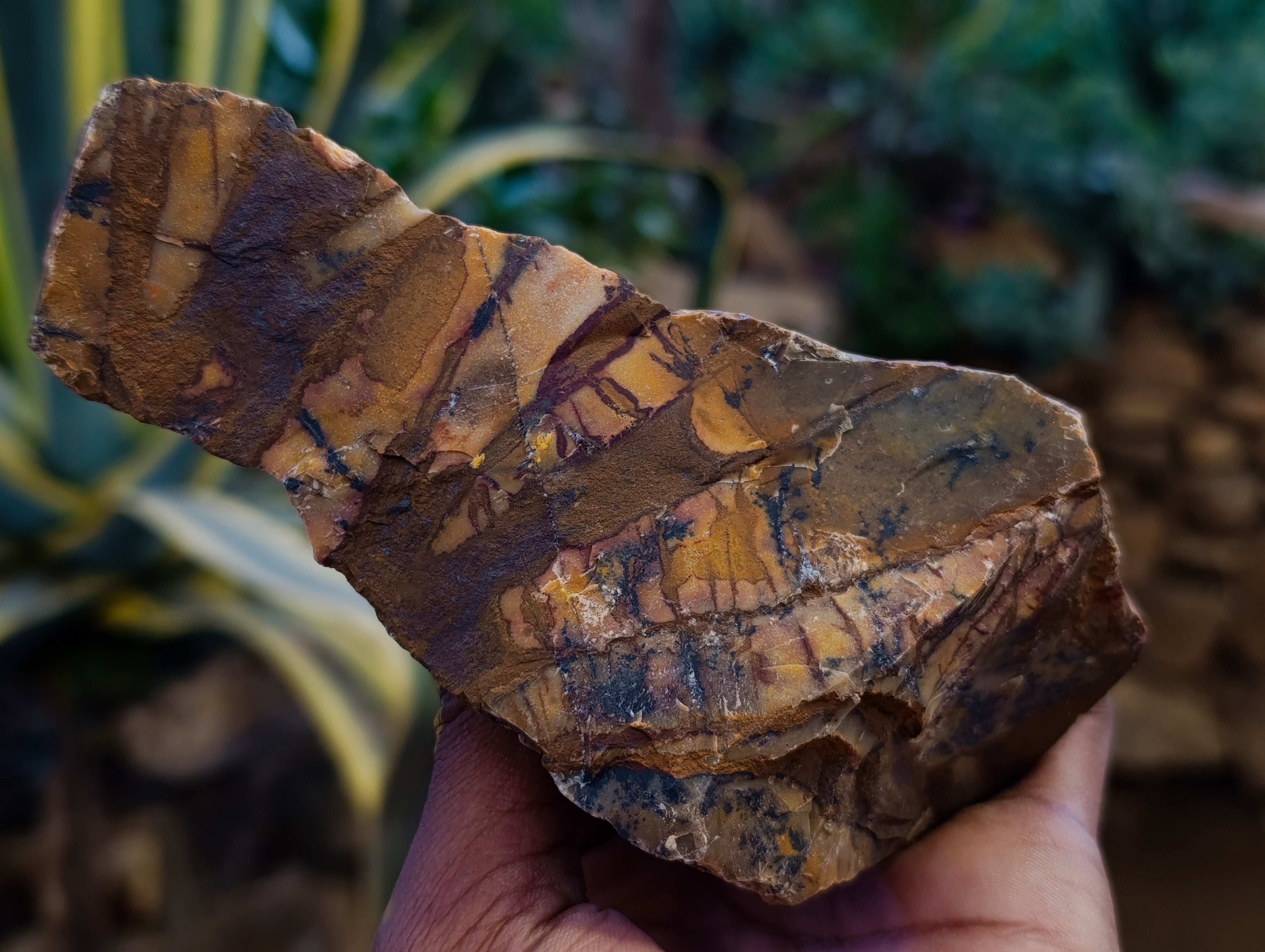 Natural Nguni Jasper Cobbed Specimens x 14 From Prieska, South Africa - Toprock Gemstones and Minerals 