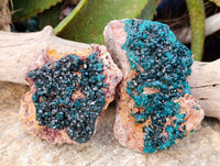 Natural Dioptase On Dolomite Specimens x 2 From Likasi, Congo