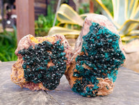 Natural Dioptase On Dolomite Specimens x 2 From Likasi, Congo