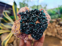 Natural Dioptase On Dolomite Specimens x 2 From Likasi, Congo