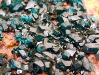 Natural Dioptase On Dolomite Specimens x 2 From Likasi, Congo
