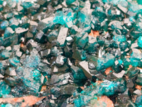 Natural Dioptase On Dolomite Specimens x 2 From Likasi, Congo
