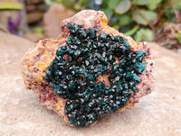 Natural Dioptase On Dolomite Specimens x 2 From Likasi, Congo