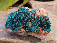 Natural Dioptase On Dolomite Specimens x 2 From Likasi, Congo