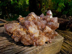 Natural Red Hematoid Quartz Cluster x 1 From Karoi, Zimbabwe - Toprock Gemstones and Minerals 