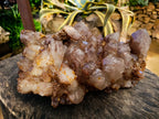 Natural Red Hematoid Quartz Cluster x 1 From Karoi, Zimbabwe - Toprock Gemstones and Minerals 