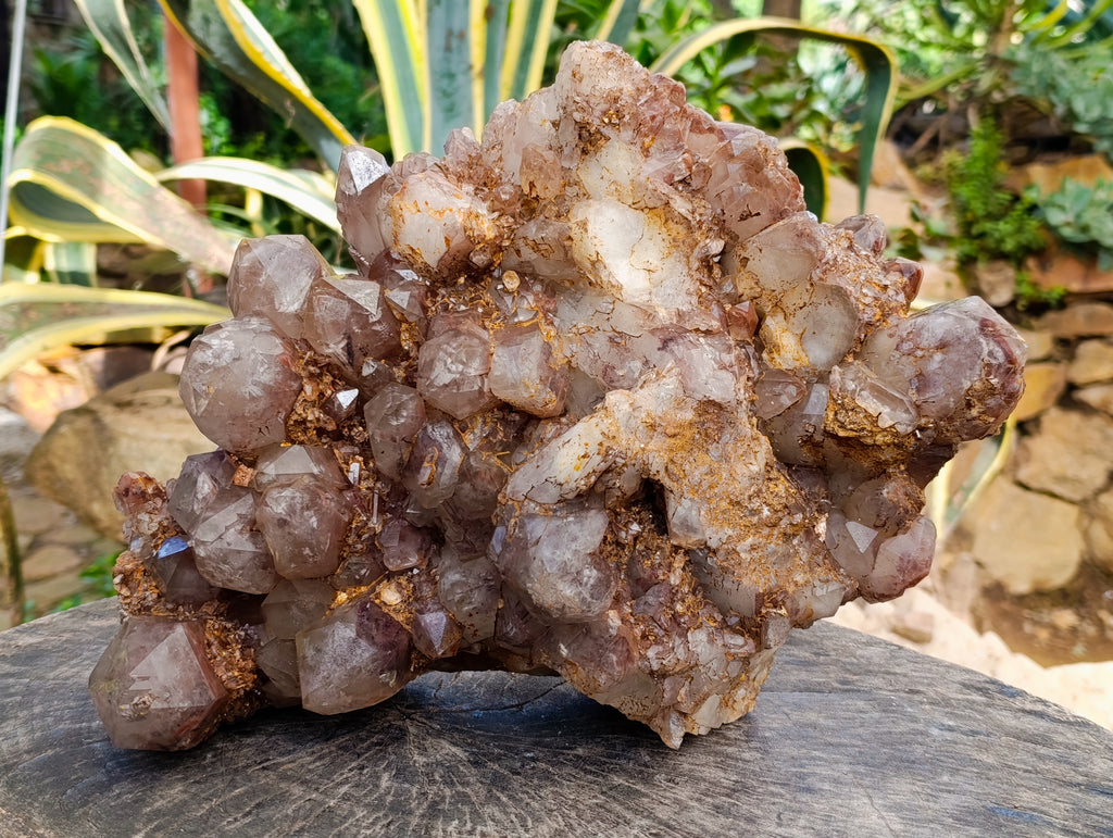 Natural Red Hematoid Quartz Cluster x 1 From Karoi, Zimbabwe - Toprock Gemstones and Minerals 