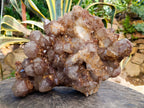 Natural Red Hematoid Quartz Cluster x 1 From Karoi, Zimbabwe - Toprock Gemstones and Minerals 
