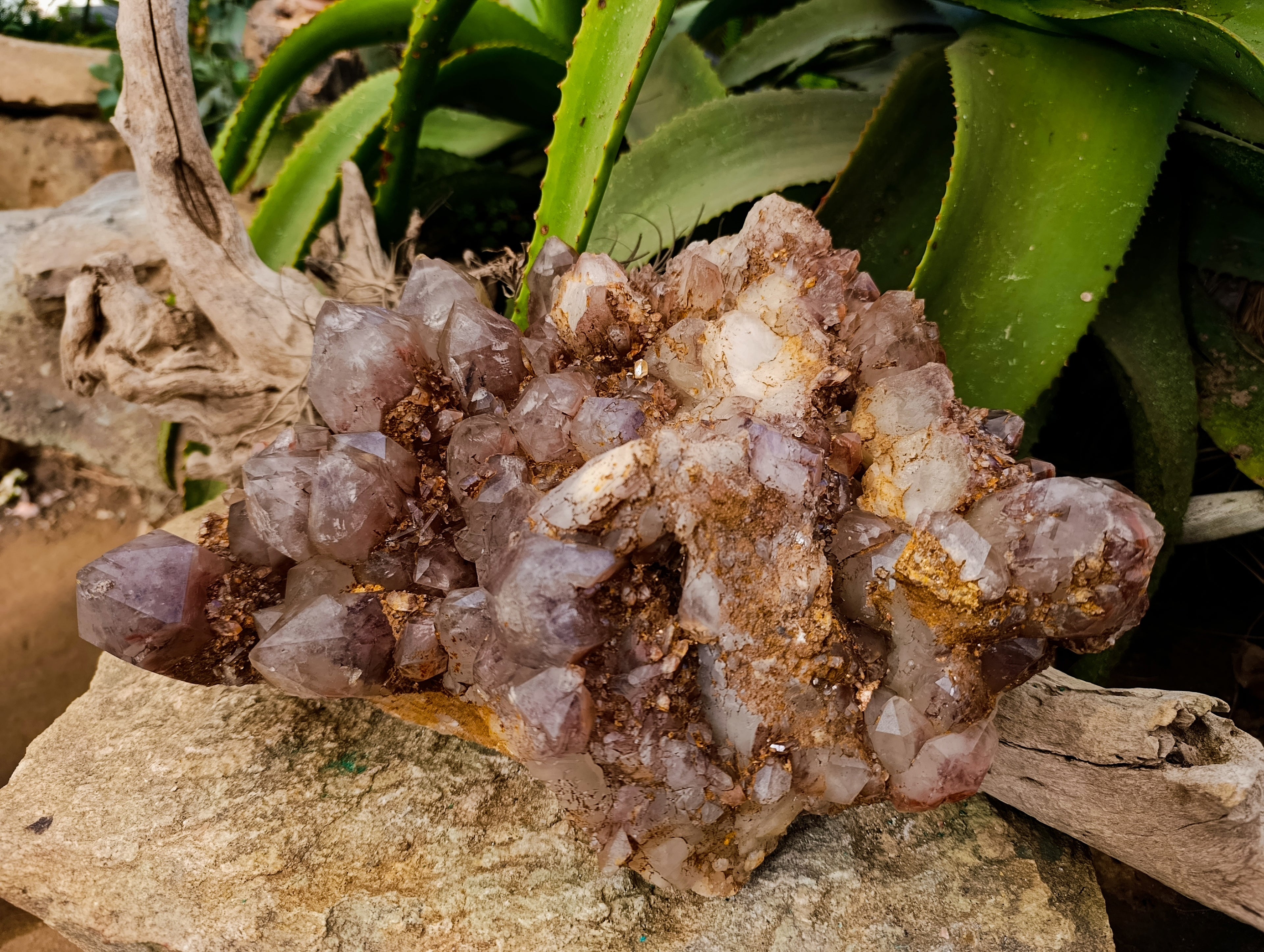 Natural Red Hematoid Quartz Cluster x 1 From Karoi, Zimbabwe - Toprock Gemstones and Minerals 