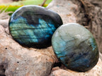 Polished Labradorite Palm Stones x 30 From Tulear, Madagascar - Toprock Gemstones and Minerals 