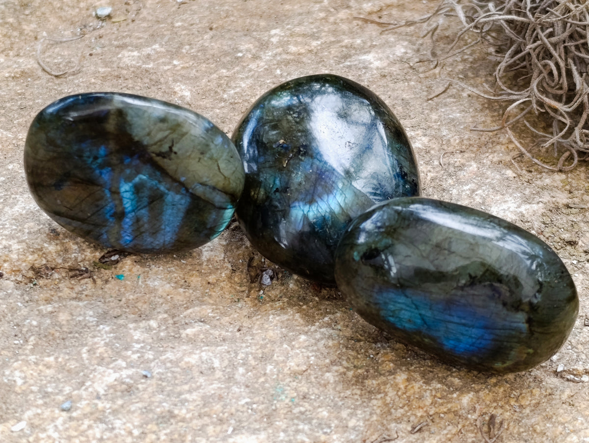 Polished Labradorite Palm Stones x 30 From Tulear, Madagascar - Toprock Gemstones and Minerals 