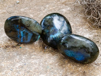 Polished Labradorite Palm Stones x 30 From Tulear, Madagascar