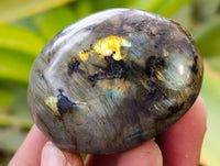 Polished Labradorite Palm Stones x 30 From Tulear, Madagascar