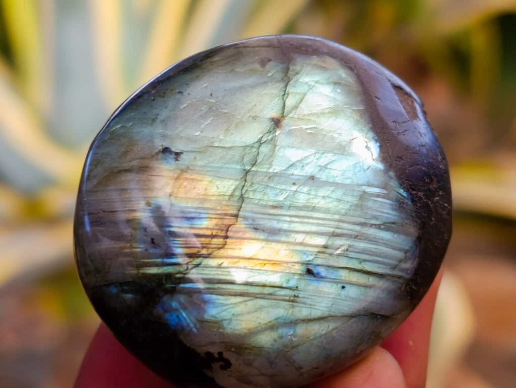Polished Labradorite Palm Stones x 30 From Tulear, Madagascar - Toprock Gemstones and Minerals 