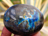 Polished Labradorite Palm Stones x 30 From Tulear, Madagascar
