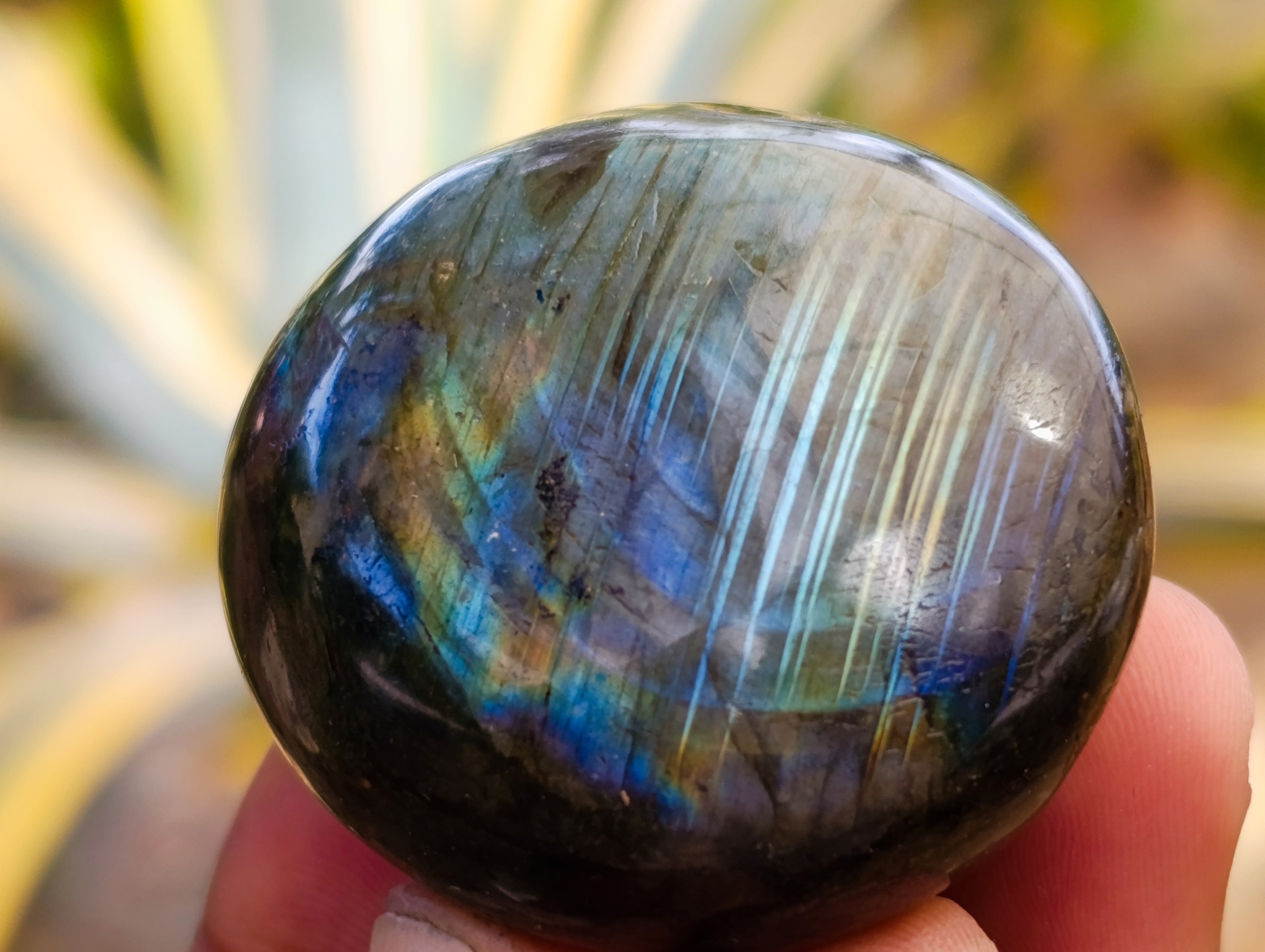 Polished Labradorite Palm Stones x 30 From Tulear, Madagascar - Toprock Gemstones and Minerals 