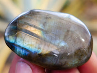Polished Labradorite Palm Stones x 30 From Tulear, Madagascar