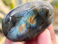 Polished Labradorite Palm Stones x 30 From Tulear, Madagascar