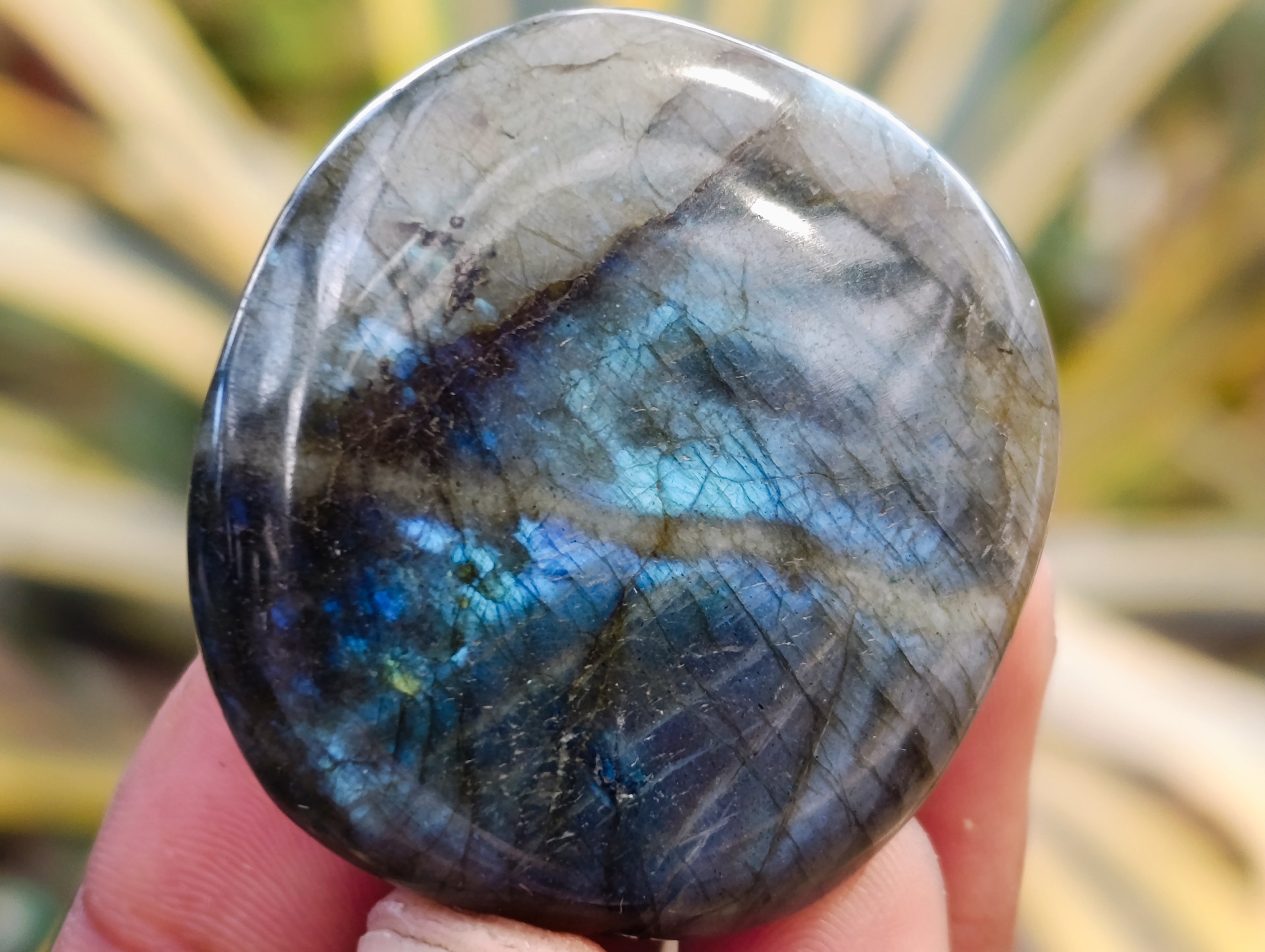 Polished Labradorite Palm Stones x 30 From Tulear, Madagascar - Toprock Gemstones and Minerals 