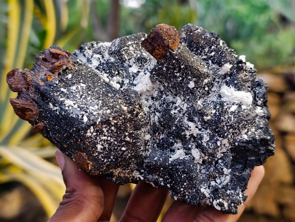 Natural Schorl Black Tourmaline with Siderite Specimens x 2 From Erongo, Namibia