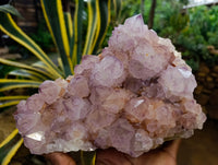 Natural Dark Amethyst Spirit Quartz Clusters x 1 From Boekenhouthoek, South Africa