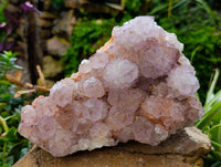 Natural Dark Amethyst Spirit Quartz Clusters x 1 From Boekenhouthoek, South Africa