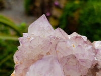 Natural Dark Amethyst Spirit Quartz Clusters x 1 From Boekenhouthoek, South Africa
